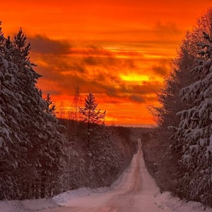 Яркие краски зимы