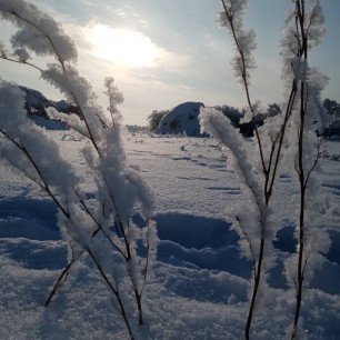 Украшение зимы