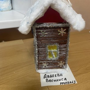 « Новогодний дом»