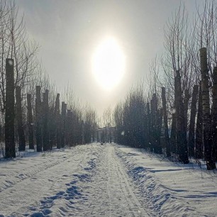 Зимнее утро