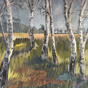 Берёзоньки