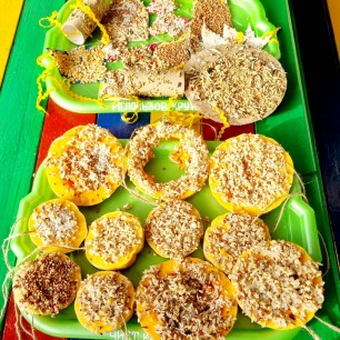 "Покормите птиц зимой "