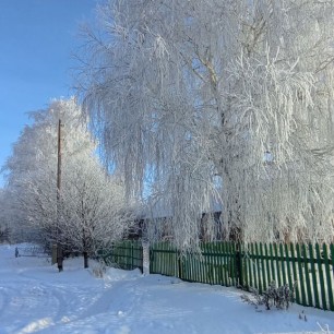 "Зимнее утро"