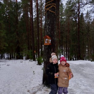 "Зимняя прогулка"