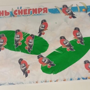 Снегири прилетели