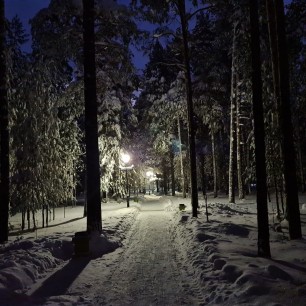 Зимний вечер в парке