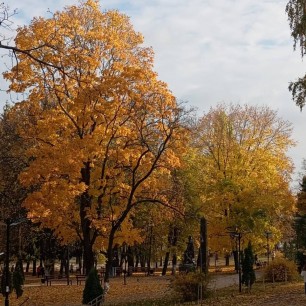 Осень в родном городе