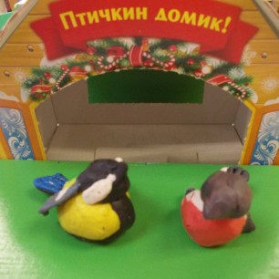 Покормите птиц зимой