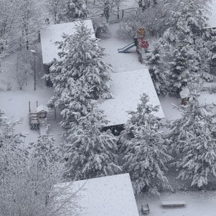 Зимняя красота