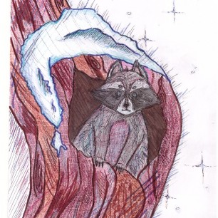 Жизнь диких животных