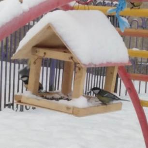 Приятного аппетита