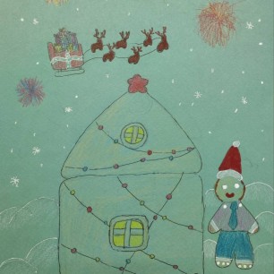 "Новогодний салют"