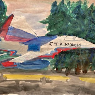 "Стрижи": птицы высокого полета