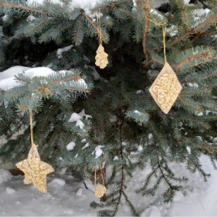 Вкусняшки для пташки