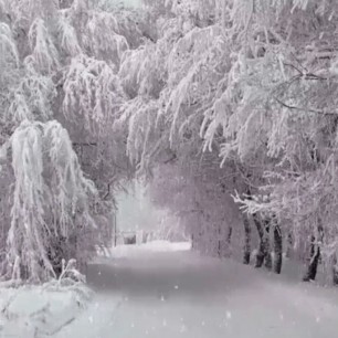 Зима красавица