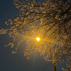 Морозное утро