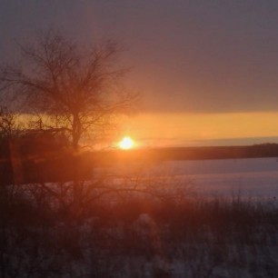 Утренняя серенада