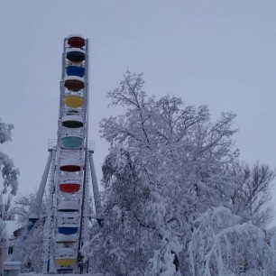 Февральская метель