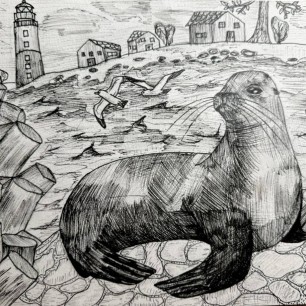 Морской котик
