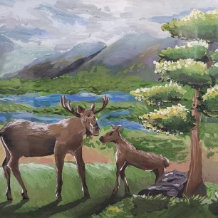 Тигирекский заповедник