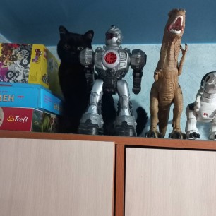 Высоко сижу