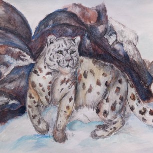 По горным тропам.