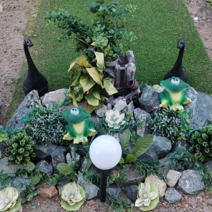 Лягушачий островок