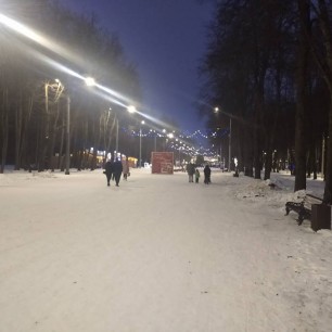 Зимний Лесопарк