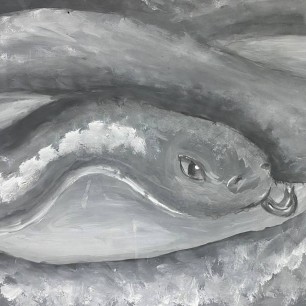 Змея в темноте