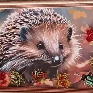 Осенний денёк