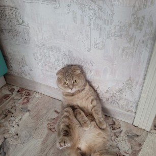 Фиона