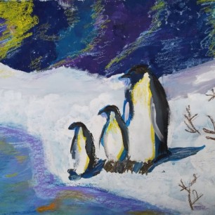 "Пингвины у моря"
