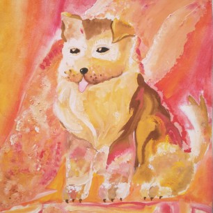 Моя радость - Шпиц Ли-Ли