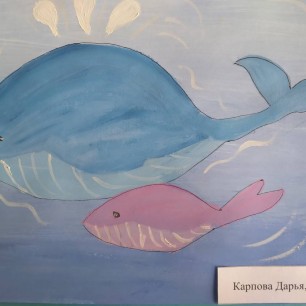 Киты