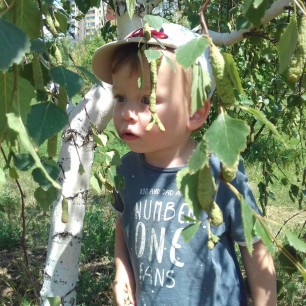 Фотография "Волгоградскя берёзка"