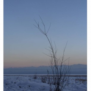 -50 градусов по Цельсию