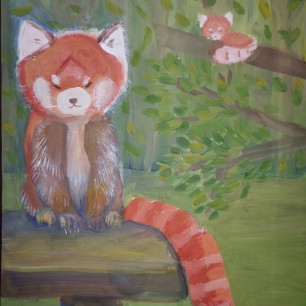 "Красная панда"