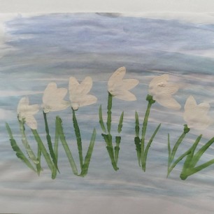 Первые цветы весны