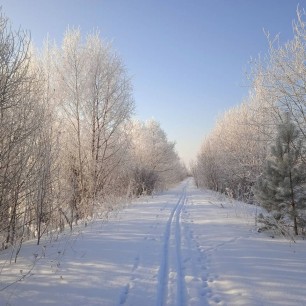 Лыжня
