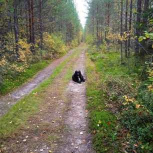 Прогулка.