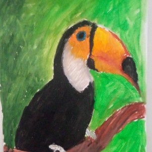 Царственный тукан