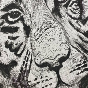 Портрет тигра