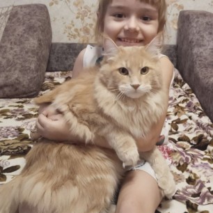 "Мой любимый котик"