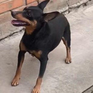 Гость пришел