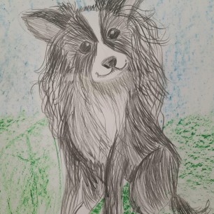 "Пушистый друг"