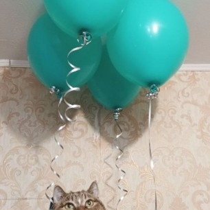 Мечта
