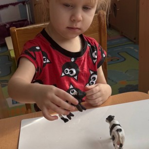 мое любимое домашнее животное