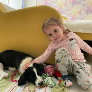 мой любимый друг