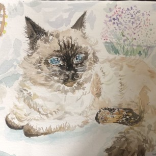 Кот и гитара