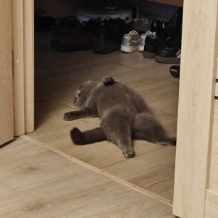 Эля отдыхает